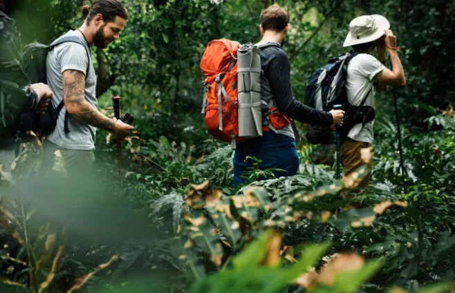 Forest Trail Adventure