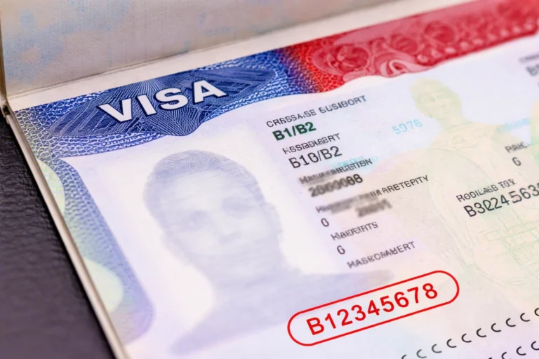 b1/b2 visa foil number