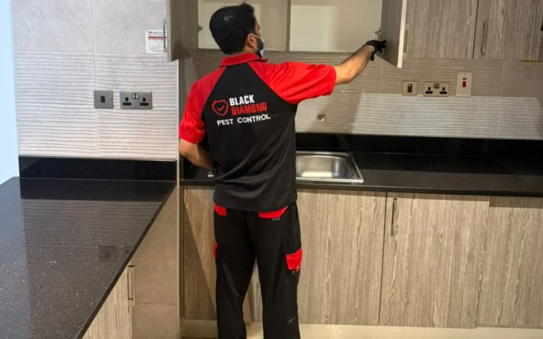 Best Pest Control Company in Abu Dhabi